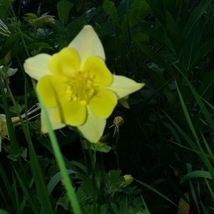 Meet your Posher, Lauri